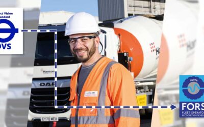 Transition between DVS and FORS Silver